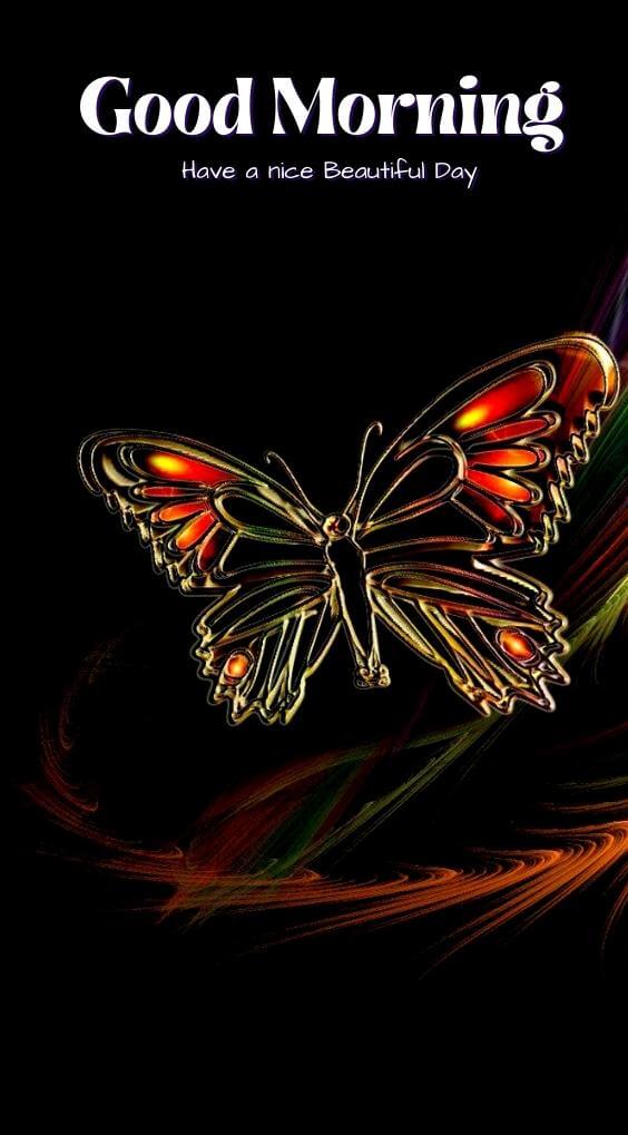 Top All butterfly good morning Images Pics Wallpaper Download